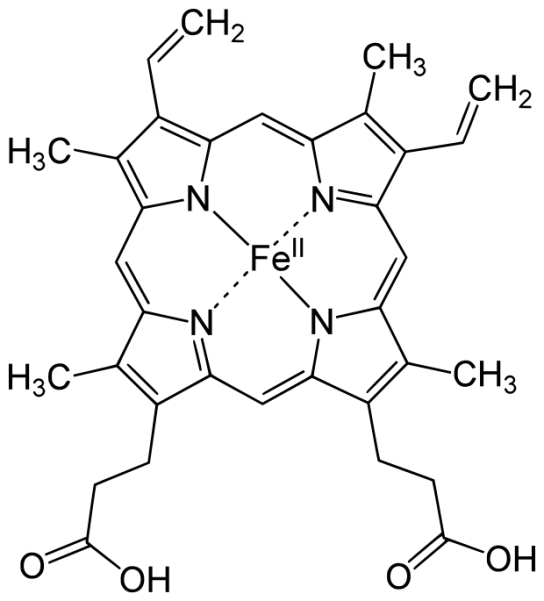 Heme b of the Hemoglobin Molecule