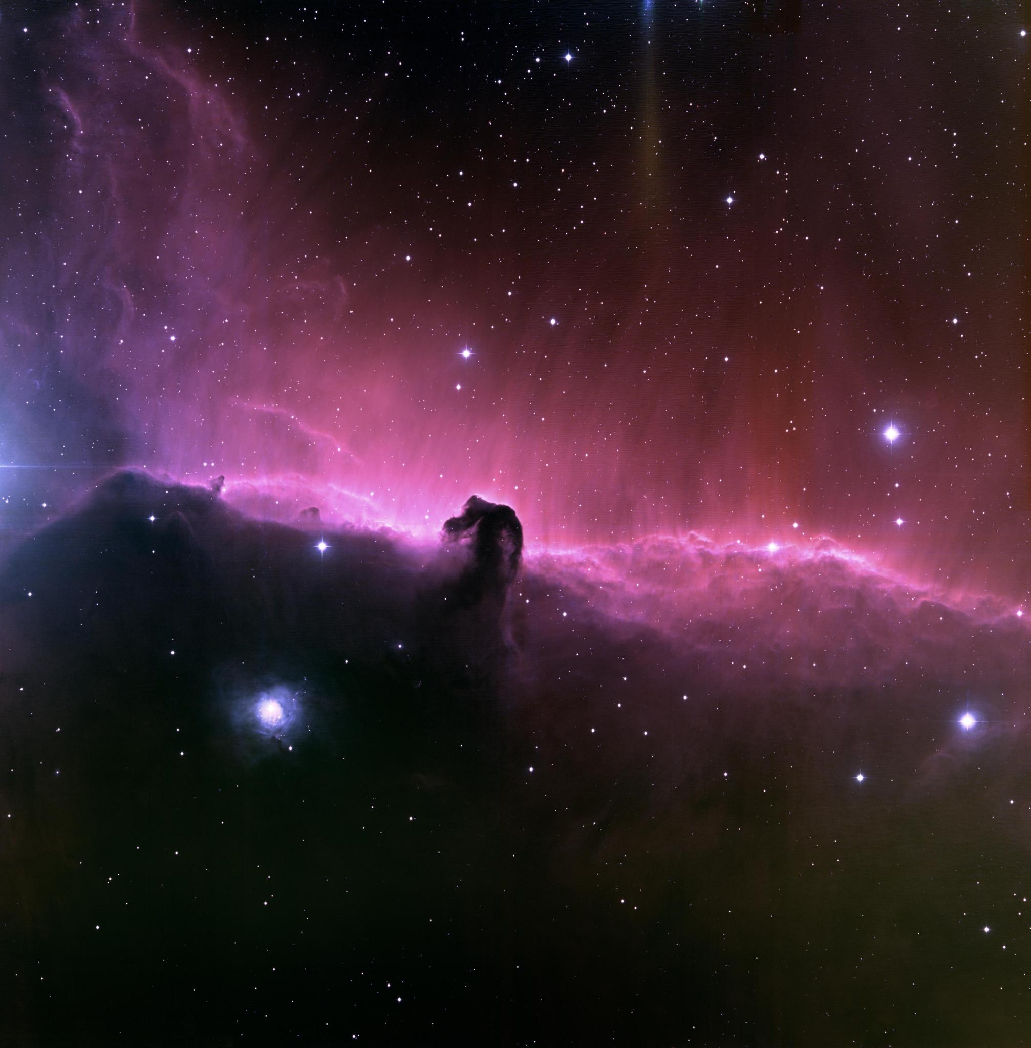 Horsehead